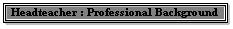 The Headteacher : Professional Background